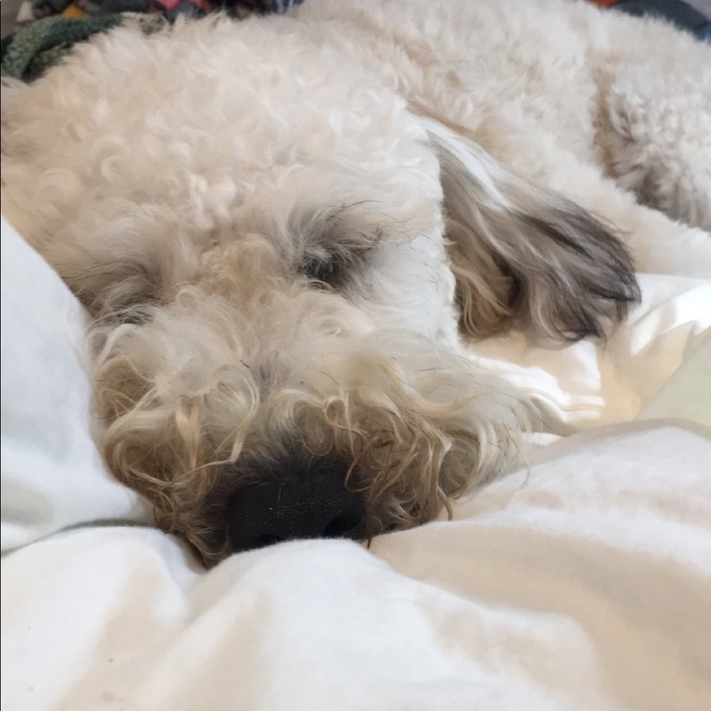 This weekend!! More will be added!